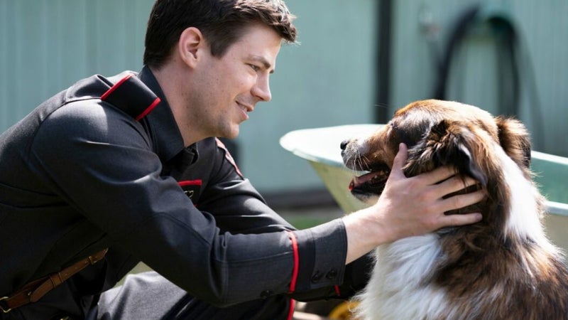 Extrait du film "Une amie au poil" sur Netflix