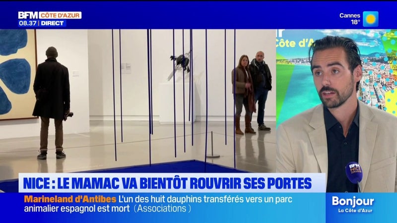 Le musée d'art moderne et d'art contemporain va rouvrir ses portes avant la fin de l'année