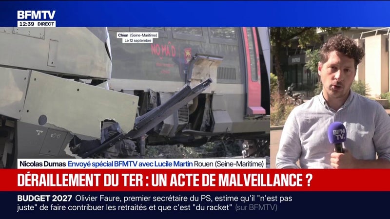 Déraillement d'un train en Seine-Maritime: le conducteur du TER "a vu" un morceau de rail posé "très légèrement en travers" des rails