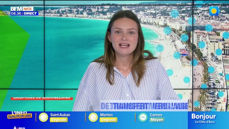 Un homme âgé a été interpelé par le RAID à Nice après s'être retranché chez lui avec des armes