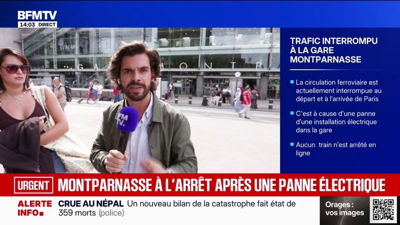 Gare Montparnasse: le trafic interrompu depuis plusieurs heures à cause d'une "panne d'installation électrique"
