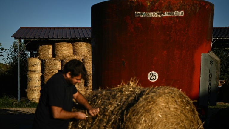 Un agriculteur sur deux bientôt à la retraite: le gouvernement dégaine deux mesures fiscales pour faciliter le renouvellement des générations