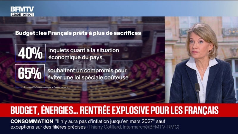 Budget: "Nous savons aussi faire des économies quand il le faut", affirme Anne Genetet, députée EPR