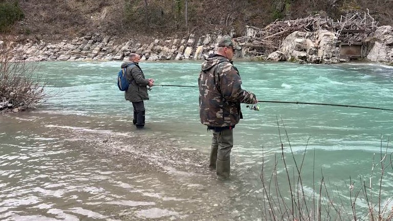 "Probablement la pointe de l'iceberg": au moins 30 tonnes de poissons sont morts dans les cours d'eau français depuis cet été caniculaire