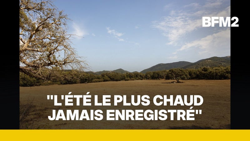Les 40°C dépassés 178 fois: Météo France fait le bilan des canicules de cet été