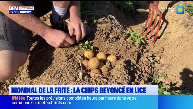 Le championnat du monde de la frite a lieu demain à Arras