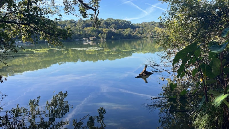 Un "risque sanitaire": des cyanobactéries identifiées dans un lac des Pyrénées-Atlantiques fréquenté par les promeneurs