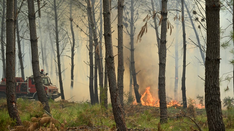 "On a peur pour nos maisons": inquiétude et lassitude pour les habitants des Landes face à l'incendie qui a parcouru 1.700 hectares