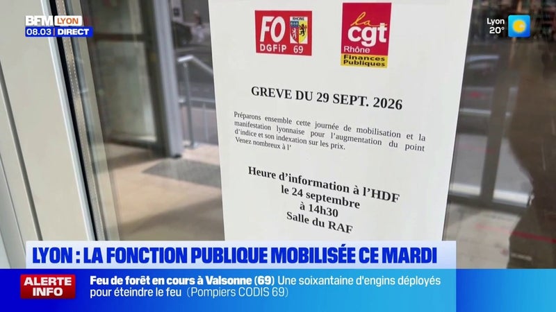 La fonction publique est mobilisée ce mardi, rencontre avec des lyonnais catégorie C
