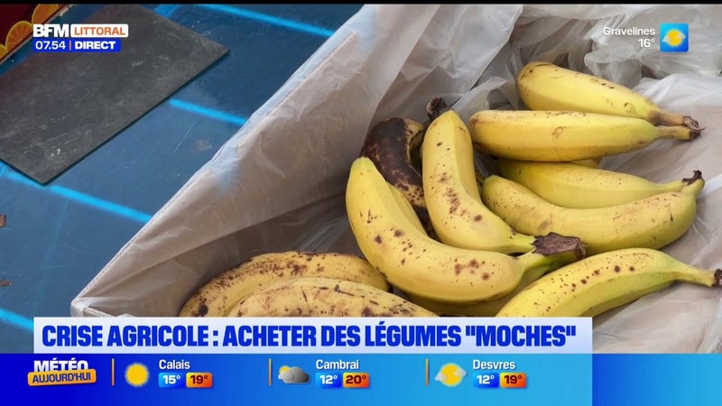 Les légumes dit "moches" bientôt plus nombreux en grande distribution