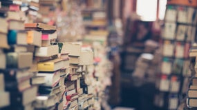 Ces trois livres peuvent se commander sur Internet ou s'acheter directement en librairie (Photo d'illustration)