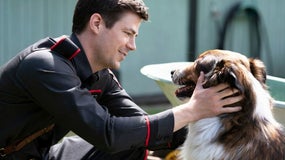 Extrait du film "Une amie au poil" sur Netflix 