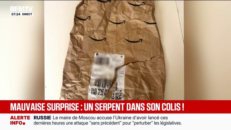 Il avait commandé un rasoir sur Amazon et a découvert un serpent vivant dans son colis