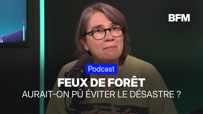 Feux de forêt: aurait-on pu éviter le désastre de cet été 2026?