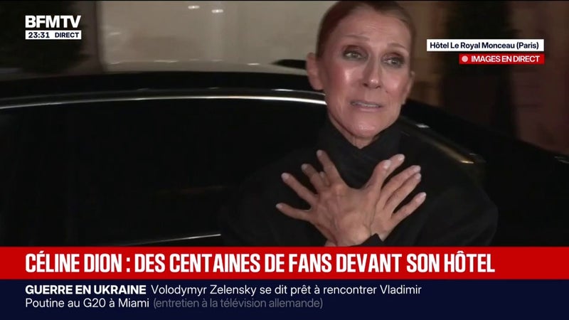 Des centaines de fans de Céline Dion présents devant son hôtel après son concert à Paris
