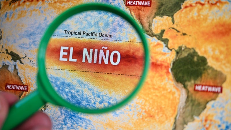 "La planète s’engage en eaux inconnues": l'épisode actuel d'El Niño pourrait être "le plus puissant" de ces quatre dernières décennies, selon l'ONU