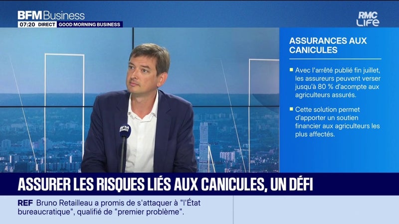 Les assurances lors de la canicule