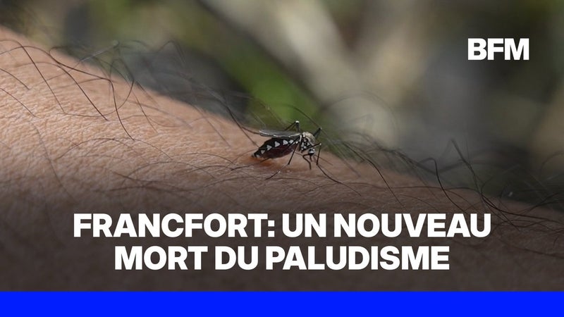 Allemagne: à Francfort, le paludisme fait un troisième mort et frappe en dehors de l'aéroport
