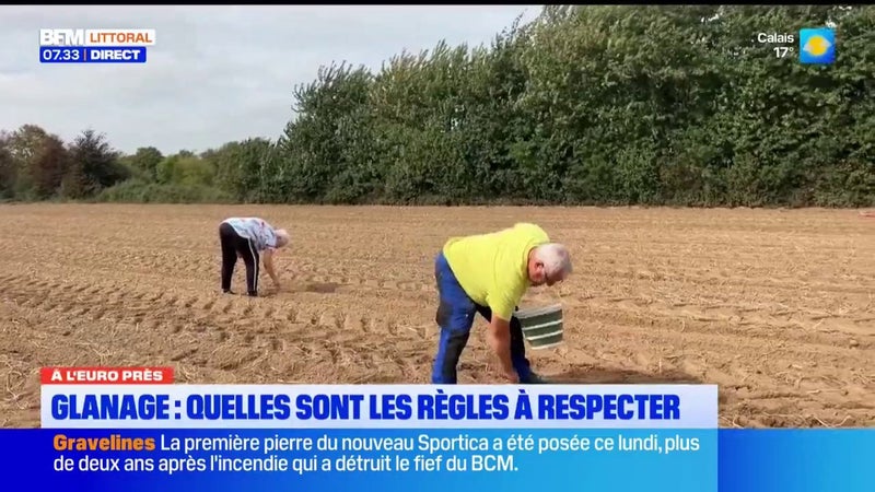 Le glanage dans les champs permet de faire des économies