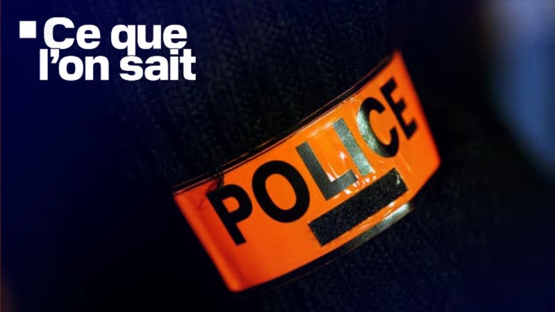 "Ultradroite", "particulièrement préparé"... Ce que l'on sait sur le projet d'action violente par un ado de 15 ans contre un lycée de Lyon