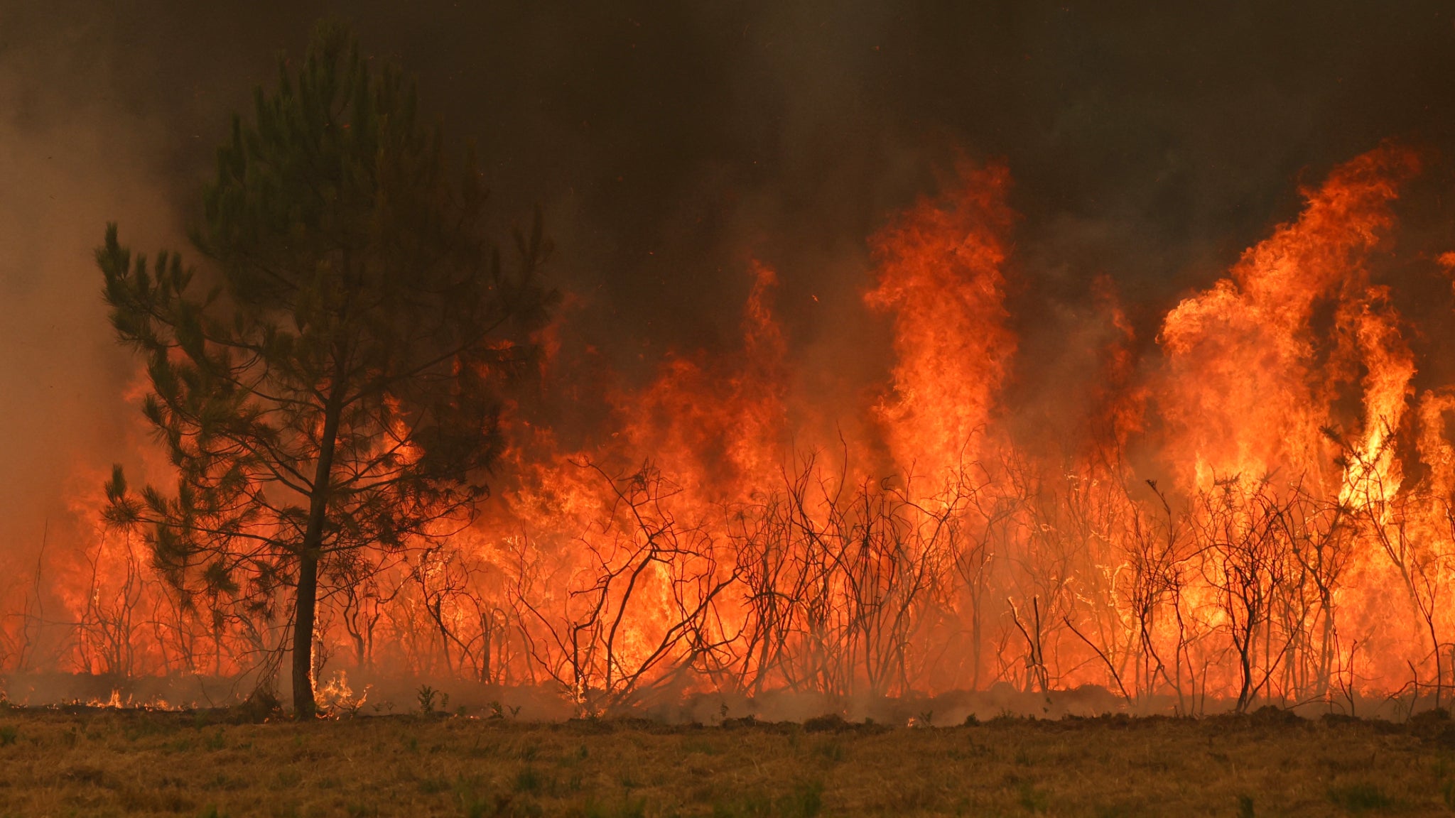 Incendies en Gironde: l'ancien Bordelais et champion de France 2009, Pierre Ducasse, a apporté son aide aux pompiers