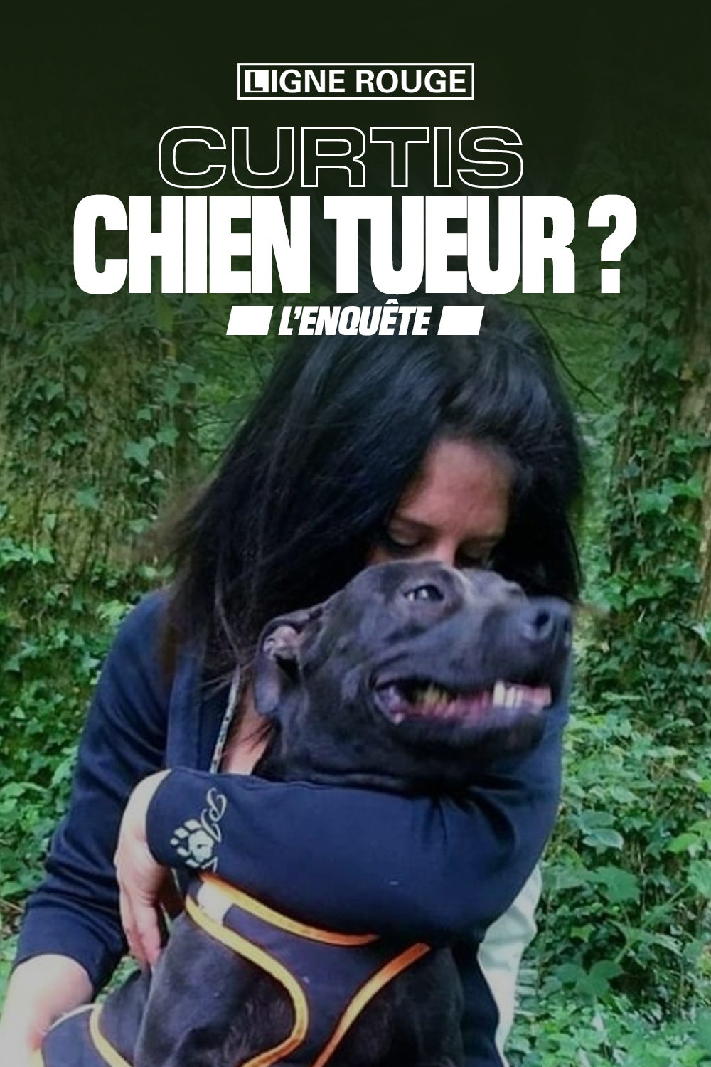 Curtis, chien tueur ?