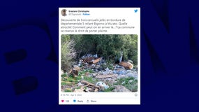 C'est le maire de Bigorno en Corse qui a découvert les cercueils dans une décharge sauvage, en avril 2022.