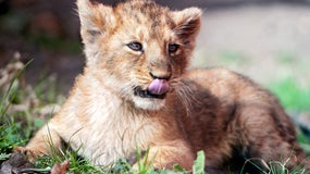 (Photo d'illustration)