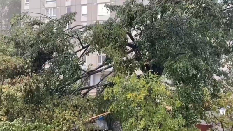 Pluies diluviennes, rafales violentes, arbres tombés: les images impressionnantes des orages en région parisienne