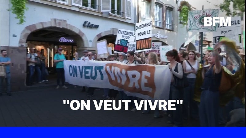 Marches pour le climat: des milliers de personnes ont manifesté pour l'Écologie partout en France