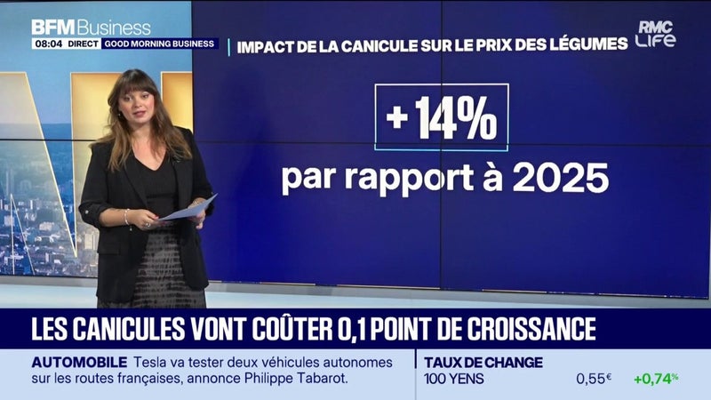 La canicule va coûter 0,1 point à la croissance française cette année