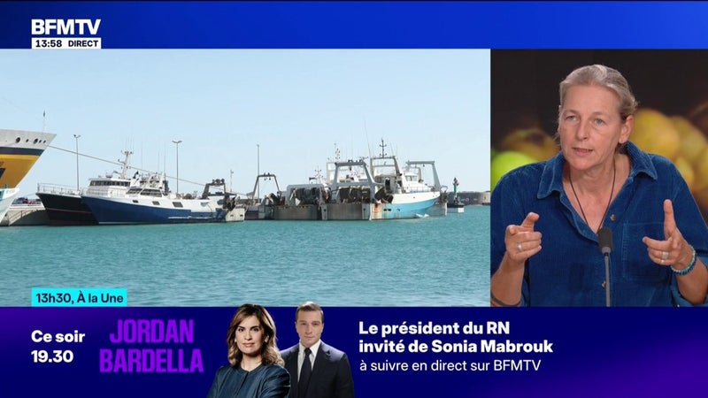 Pouvoir achat: "On demande 100 produits, qui correspondent aux recommandations de santé publique, à prix coûtants dans la grande distribution", demande Karine Jacquemart, directrice générale de l'association FoodWatch France