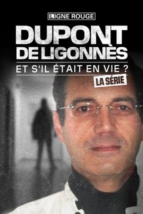 Dupont-de-Ligonnès, la série