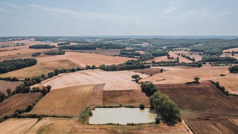 "Un niveau jamais observé pour une mi-septembre": la sécheresse continue de s'aggraver et aucune pluie n'est attendue dans les prochaines semaines