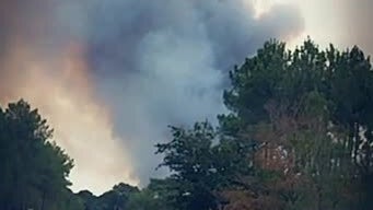 Feu de forêt en Gironde (Saumos) - Témoins BFMTV