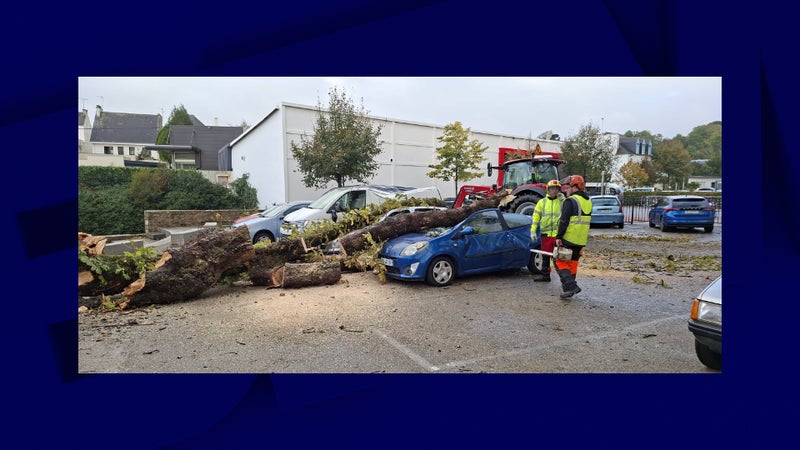 Arbres arrachés, voitures accidentées.... Les images des dégâts de la tempête Austen qui a frappé le nord et l'ouest de la France