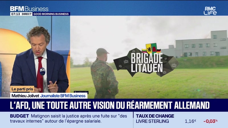 L'AFD, une toute autre vision du réarmement allemand