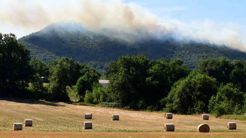 Deux incendies se déclarent dans le sud de l'Ardèche, 36 hectares détruits