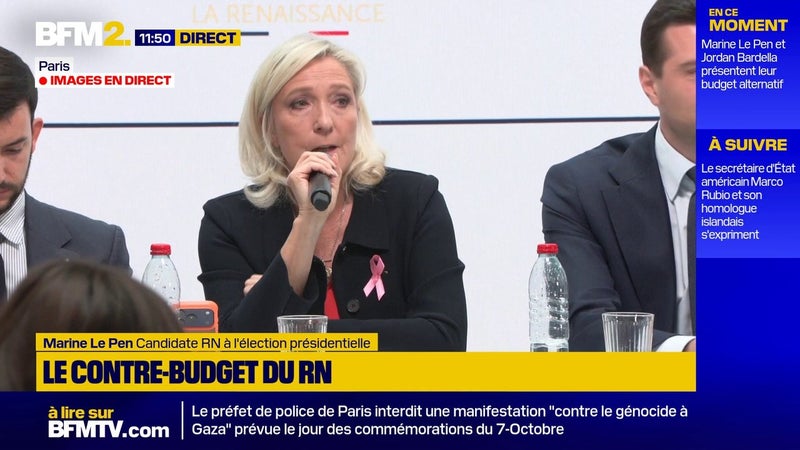 Campagne présidentielle: les banques "ont toutes refusé" les demandes de financement du RN, déclare Marine Le Pen