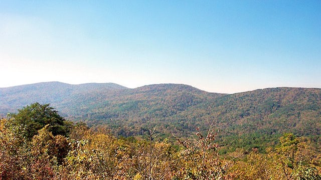 Parc de Cheaha, en Alabama, aux Etats-Unis (image d'illustration)