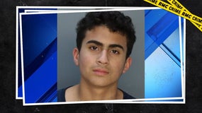 Derek Rosa, l'accusé 