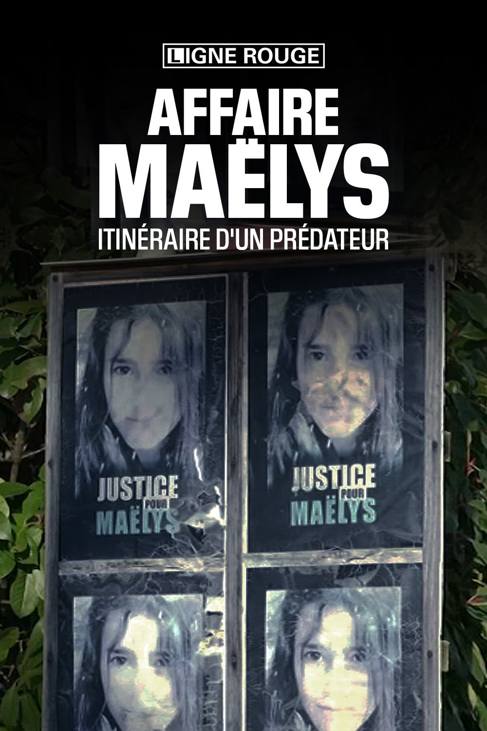 AFFAIRE MAËLYS: ITINERAIRE D'UN PREDATEUR 