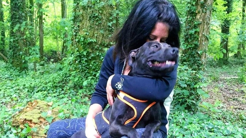 Elisa Pilarski et le chien de son compagnon, Curtis 
