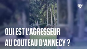 Qui est l'agresseur au couteau d'Annecy ?