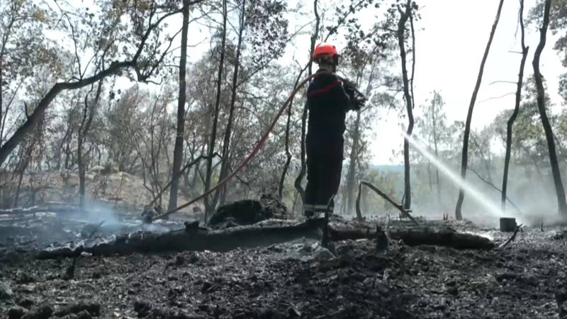 Un incendie en cours au sud de Perpignan, 35 hectares brûlés et près de 200 pompiers mobilisés