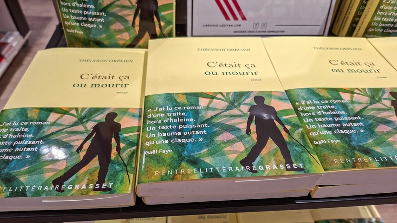 Les lecteurs veulent se forger "leur propre avis": "C'était ça ou mourir", accusé d'avoir été écrit par l'IA, désormais un objet de curiosité en librairies