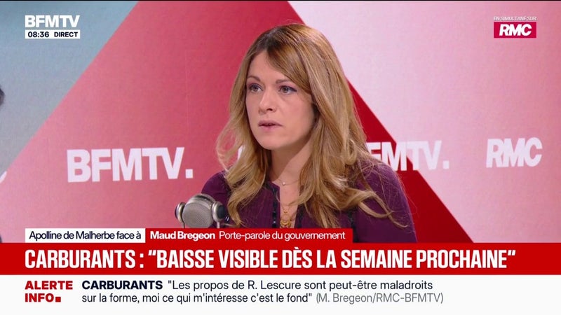 Maud Bregeon, porte-parole du gouvernement, annonce une aide "sur la trésorerie" pour permettre aux distributeurs "de répercuter une baisse"