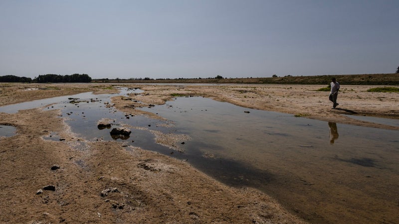 Incendies: "Les sols trop secs et les rivières asséchées préparent le terrain pour l'arrivée des feux"