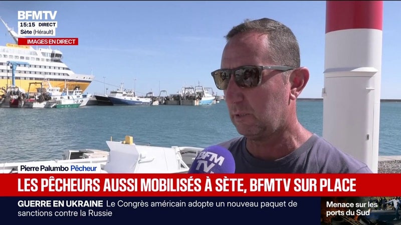 Les pêcheurs de Sète, dans l'Hérault, mobilisés dans l'attente d'annonces du ministère de la Mer et de la pêche