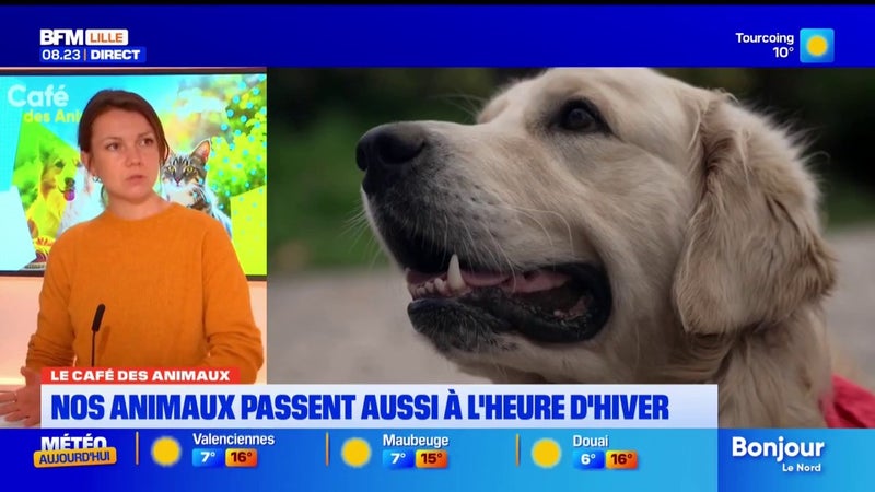 Le Café des Animaux: nos animaux passent aussi à l'heure d'hiver